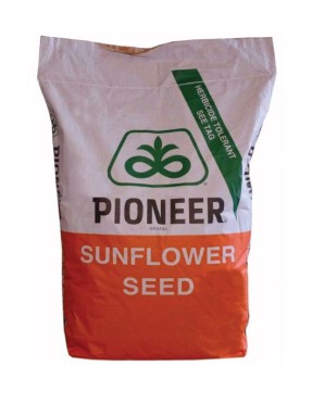 Floarea soarelui netratata Pioneer P64LE162 150.000 sem