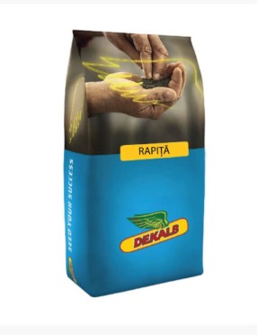 Rapita Monsanto DK Expirit - 1.500.000 seminte