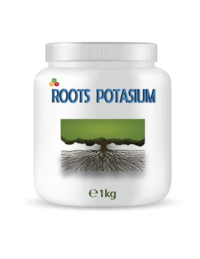 Roots Potasium 760 g