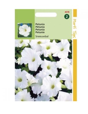 Petunia alba - 0.1 g