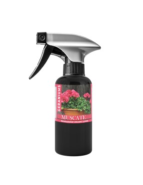 Ingrasamant foliar pentru Muscate 500 ml